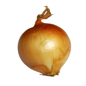 Cebolla