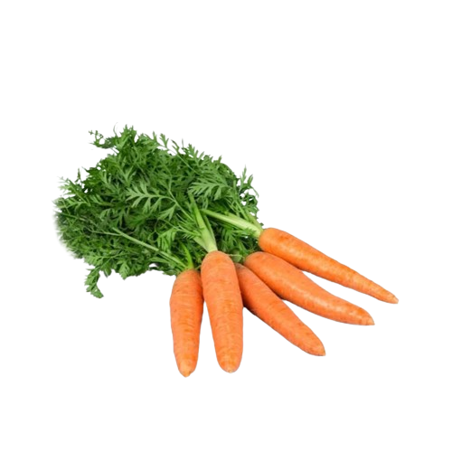 Zanahoria de manojo
